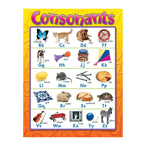 Trend Enterprises Consonants Learning Chart  1 Piece  17 inch x 22 inch