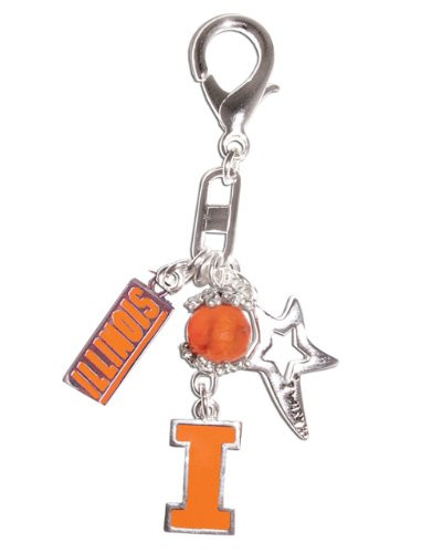 University of Illinois Fighting Illini I Wish Clip-on Anywhere Charm