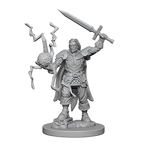 WizKids Pathfinder: Deep Cuts Unpainted Miniatures: Human Male Cleric