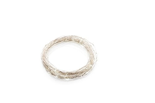 Meilo SL12-36-S-DL LED Daylight String Light Silver Wire (36 Count), 12', Clear