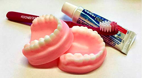 Denture Soap Set - False Teeth Gag Gift Tooth Soap Prank Soap You Choose Scent Soap Dentures Funny Soap Over The Hill Silly - FREE SHIPPING