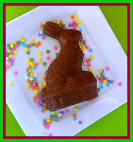 Chocolate Easter Bunny Soap - Rabbit - FREE SHIPPING - Easter Basket Filler - Soap for Kids - Set of 2