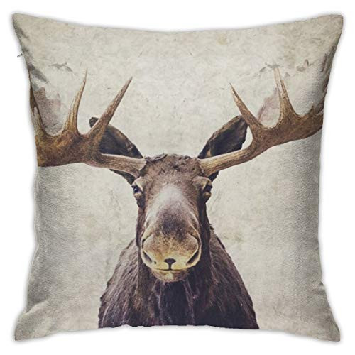 Yaateeh Vintage Moose Throw Pillow Covers Decorative 18x18 Inch Pillowcase Square Cushion Cases for Home Sofa Bedroom Livingroom Yaateeh Vintage Moose Throw Pillow Covers Decorative 18x18 Inch Pillowcase Square Cushion Cases for Home Sofa Bedroom Livingroom