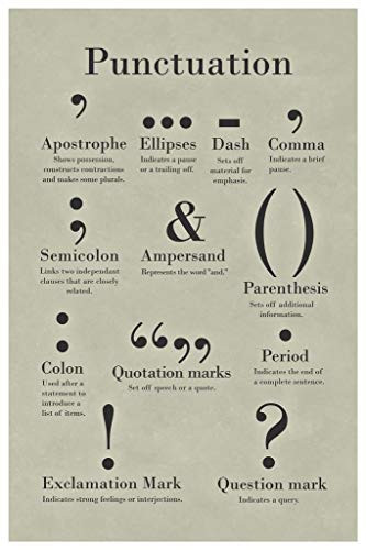 Punctuation Grammar and Writing Classroom Cool Wall Decor Art Print Poster 12x18