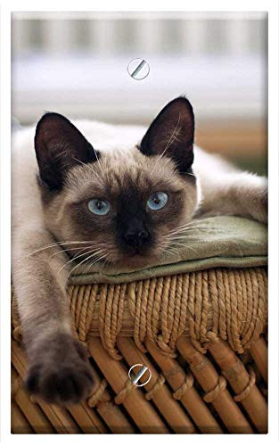 Single-Gang Blank Wall Plate Cover - Cat Thai Cat Cats Pet Animals Cute Cat Eye