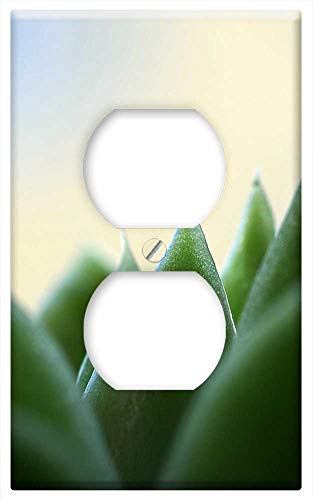 Switch Plate Outlet Cover - Plant Leaf Kaktusowate Nature Succulent Sharp