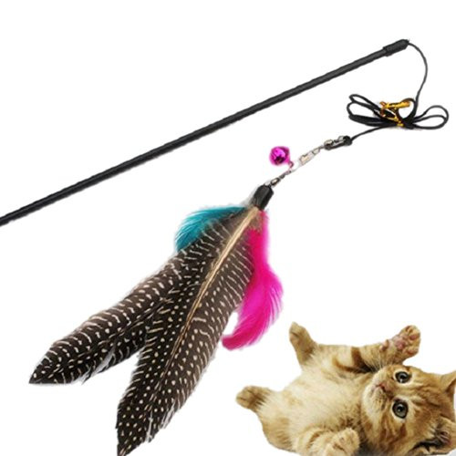 BESUFY Cat ToysKitten Toys with Bells Interactive Catcher Teaser for Indoor Kitten Having Fun Great Kitten Play Interactive Fun Toy Cat Teaser Wand Feather Pendant plus Bell BESUFY Cat ToysKitten Toys with Bells Interactive Catcher Teaser for Indoor Kitten Having Fun Great Kitten Play Interactive Fun Toy Cat Teaser Wand Feather Pendant plus Bell