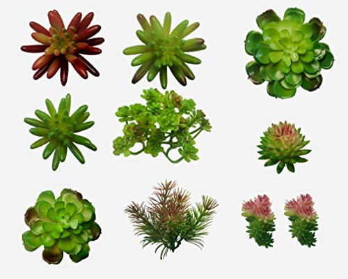 10 Artificial Succulent Plants - Create Realistic Succulent Arrangements Faux Unpotted Succulent Decor and Fake Succulent Planter Outdoor and Indoor - Easy DIY with Stems
