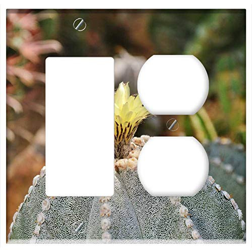 2-Gang Rocker GFCI Outlet Combination Wall Plate Cover - Cactus Spur Blossom Bloom Bloom Green Prickly 4 2-Gang Rocker GFCI Outlet Combination Wall Plate Cover - Cactus Spur Blossom Bloom Bloom Green Prickly 4
