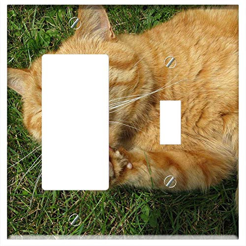 Rocker GFCI Toggle Combination Wall Plate Cover - Cat Red Orange Animal Domestic Cat Pet Tongue Rocker GFCI Toggle Combination Wall Plate Cover - Cat Red Orange Animal Domestic Cat Pet Tongue