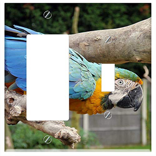 Rocker GFCI Toggle Combination Wall Plate Cover - Macaw Parrot Bird Fly Wings Feather Wildlife 3 Rocker GFCI Toggle Combination Wall Plate Cover - Macaw Parrot Bird Fly Wings Feather Wildlife 3