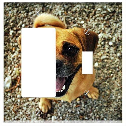 Rocker GFCI Toggle Combination Wall Plate Cover - Pug Dog Happy Smiling Pet Happy Dog Cute