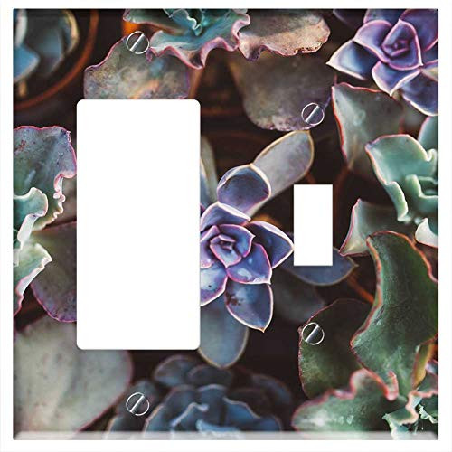 Rocker GFCI Toggle Combination Wall Plate Cover - Succulent Plant Gardening Botanical Decoration Pot Rocker GFCI Toggle Combination Wall Plate Cover - Succulent Plant Gardening Botanical Decoration Pot