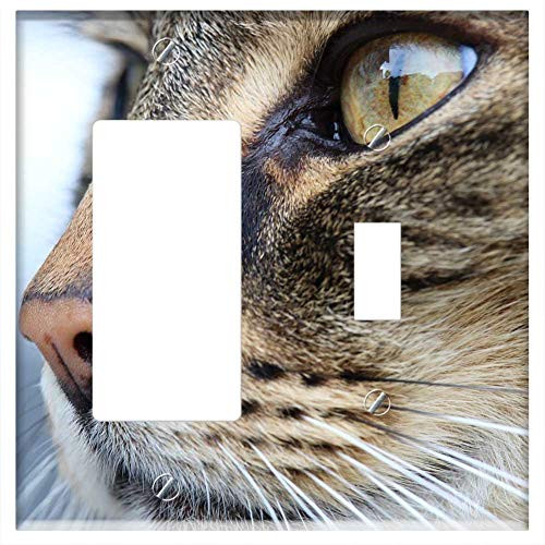 Rocker GFCI Toggle Combination Wall Plate Cover - Cat Nose Eye Cat Face Cat Nose Pet Domestic Cat Rocker GFCI Toggle Combination Wall Plate Cover - Cat Nose Eye Cat Face Cat Nose Pet Domestic Cat