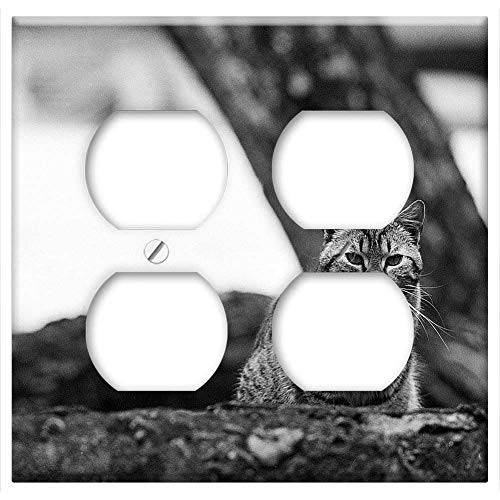 Double Duplex Outlet Wall Plate Cover - Cat Looking Fence Animal Pet Cute Domestic