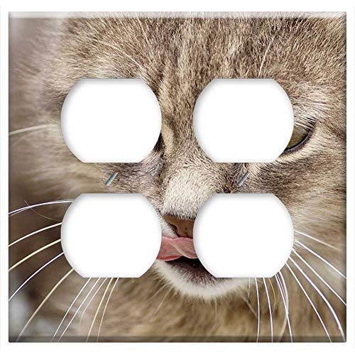 Double Duplex Outlet Wall Plate Cover - Cat Domestic Cat Animal Mieze Pet Nature Mackerel
