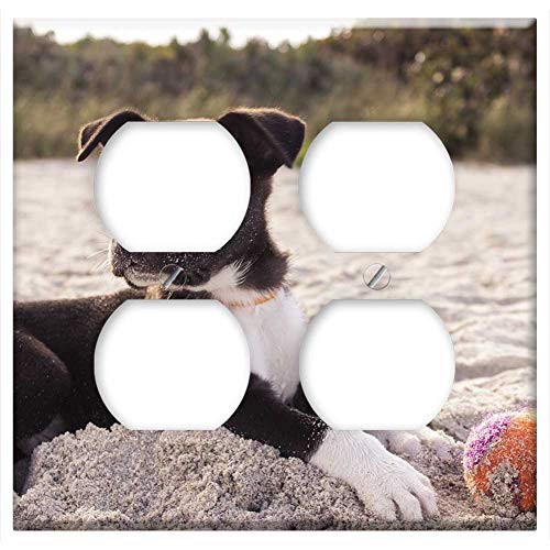 Double Duplex Outlet Wall Plate Cover - Dog Puppy Playing Ball Sand Beach Pet Canine