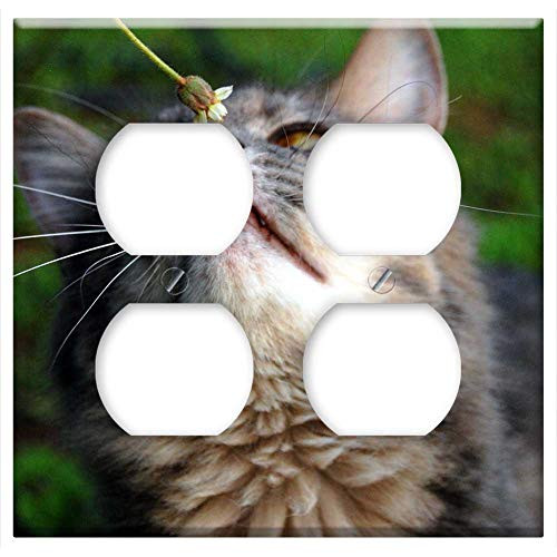 Double Duplex Outlet Wall Plate Cover - Cat Cat Nose Feline Kitten Kitty Fluffy Pet