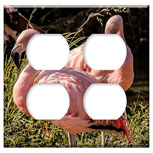 Double Duplex Outlet Wall Plate Cover - Pink Flamingos Wading Bird Feathers Resting Bird
