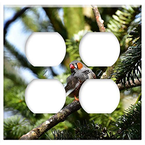 Double Duplex Outlet Wall Plate Cover - Zebra Finch Little Bird Feather Bird Small Bill