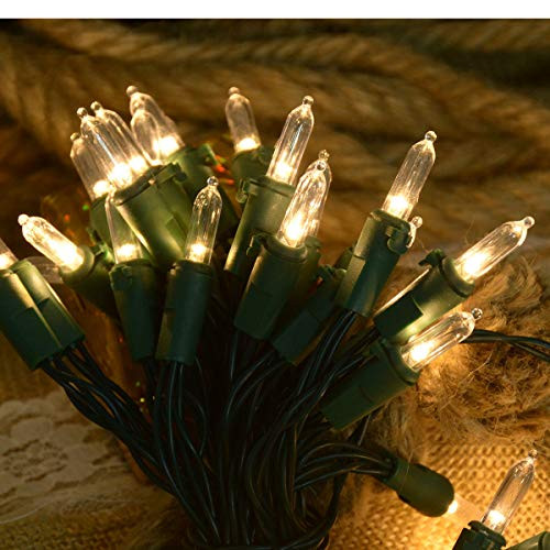 Windpnn 17Ft 50 LED Clear Christmas String Lights Battery Powered Warm White Mini Christmas Lights Green Wire Christmas Lights Indoor Fairy Lights for Holiday Home Party Christmas Tree Decorate Windpnn 17Ft 50 LED Clear Christmas String Lights Battery Powered Warm White Mini Christmas Lights Green Wire Christmas Lights Indoor Fairy Lights for Holiday Home Party Christmas Tree Decorate