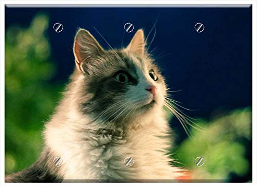 Triple Blank Wall Plate Cover - Cat Animal Feline Pet Cats 3