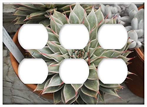 Triple Duplex Outlet Wall Plate Cover - Green House Cactus Flora Garden Nature Succulent