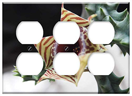 Triple Duplex Outlet Wall Plate Cover - Magic Star Flower Zebra Succulent Plants Exotic