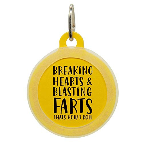 Personalized Breaking Hearts and Blasting Farts Pet ID Name Tag with Silencer for Cats or Dogs by Oh My Paw d