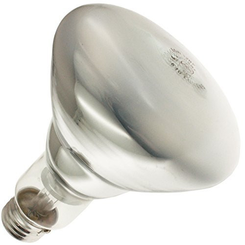 GE Lighting 20332, 65-Watt, 610-Lumen R30 Spot Light Bulb, Soft White