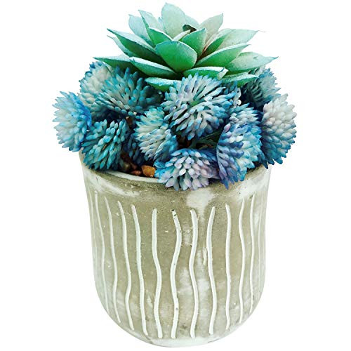 Blue Artificial Succulent Plants in Rustic Pot Ocean Blue Fake Succulent Plants for Home Decor Potted Fake Plant Artificial Flower Decoration Indoor Faux Succulent Flower Arrangement for Office Desk Blue Artificial Succulent Plants in Rustic Pot Ocean Blue Fake Succulent Plants for Home Decor Potted Fake Plant Artificial Flower Decoration Indoor Faux Succulent Flower Arrangement for Office Desk