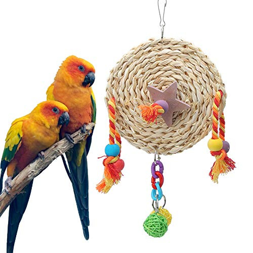 TOPINCN Pets Bird Chewing Toy Multiple Color Pet Parrot Cage Hanging Bird Chewing Biting Play Toy Bird Parrot Chewing Wooden Blocks Toys S
