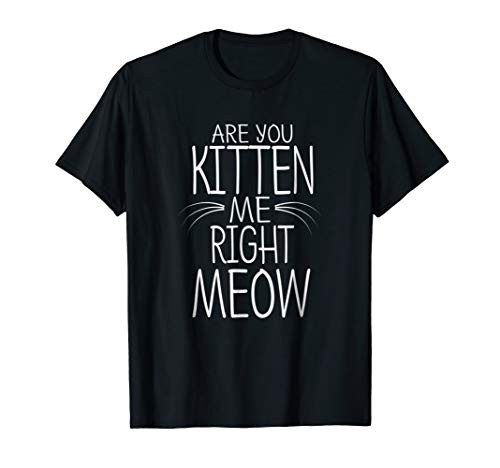 Are You Kitten Me Right Meow T-Shirt Funny Cat Joke Tee Are You Kitten Me Right Meow T-Shirt Funny Cat Joke Tee