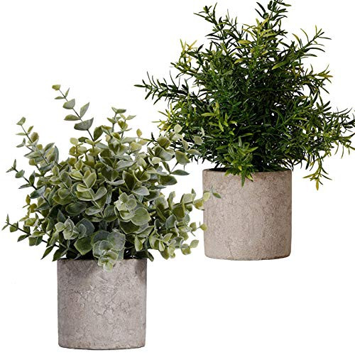 FagusHome Artificial Plants Potted 2 Pcs Mini Potted Artificial Eucalyptus Plants Plastic Fake Greenery Faux Plants in Pots for Indoor Decor A FagusHome Artificial Plants Potted 2 Pcs Mini Potted Artificial Eucalyptus Plants Plastic Fake Greenery Faux Plants in Pots for Indoor Decor A