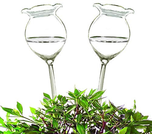 Adabocute Plant Waterer Self Watering Globes Hand Blown Clear Glass Plant Water Bulbs for Indoor and Outdoor 2 Flower Shape Adabocute Plant Waterer Self Watering Globes Hand Blown Clear Glass Plant Water Bulbs for Indoor and Outdoor 2 Flower Shape