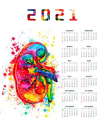 2021 Calendar Kidney Medical Wall Art Decor Print Ideal for Doctors Clinic Medical Student Hospital or Doctor Office Great Gift for Medical Science Student Doctor or Nurse 11inch x 14 inch