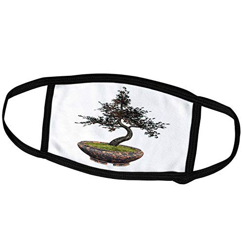 3dRose Boehm Graphics Bonsai - A Cherry Tree Bonsai with Cherries - Face Covers  fc_179992_2