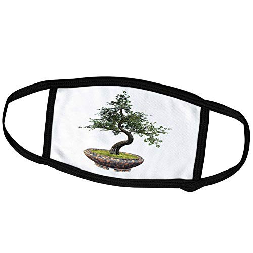 3dRose Boehm Graphics Bonsai - A Cherry Tree Bonsai with Green Leaves - Face Covers  fc_179993_3