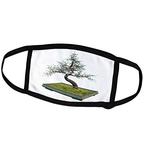 3dRose Boehm Graphics Bonsai - A Cherry Tree Bonsai with White Leaves - Face Covers  fc_179995_3