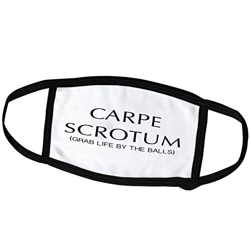 3dRose Carpe Scrotum Grab Life by The Balls - Face Covers  fc_222204_3