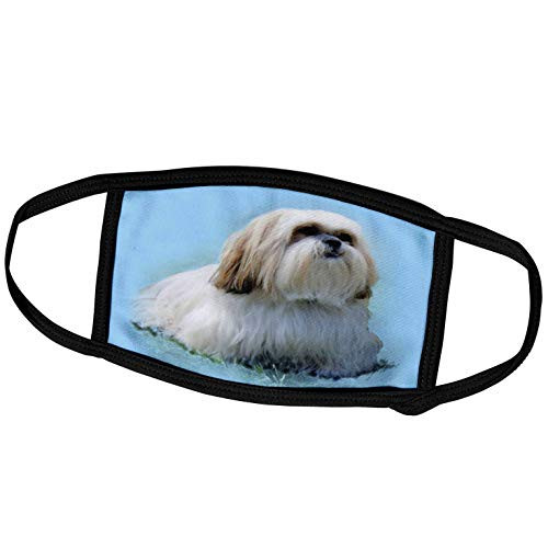 3dRose Face Cover Large White Lhasa Apso Dog Digital Oil Painting