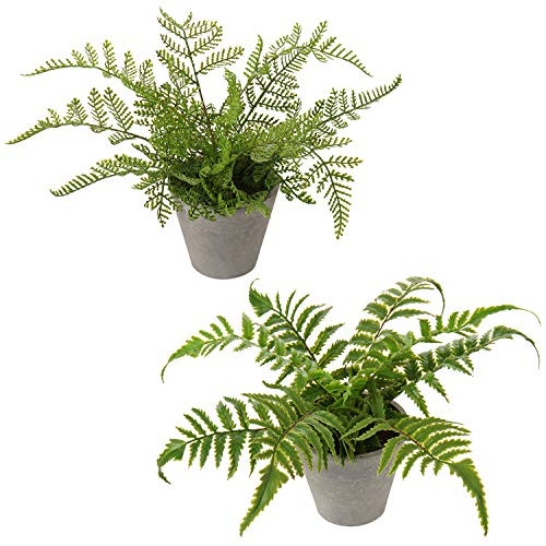 N D Artificial Plants Mini Artificial Potted Plants Faux Eucalyptus Plants Rosemary Greenery in Pots Small Houseplants for Indoor Greenery Home Office Desk Shower Room Decoration Green 01 N D Artificial Plants Mini Artificial Potted Plants Faux Eucalyptus Plants Rosemary Greenery in Pots Small Houseplants for Indoor Greenery Home Office Desk Shower Room Decoration Green 01