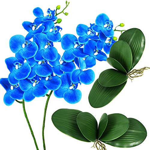 Ollain Artificial Flowers 2pcs Orchids Stems and 2pcs Fake Orchid Leaves Silk Phalaenopsis Flower for Wedding Festive Party Home Office Decoration  Blue Phalaenopsis Flower