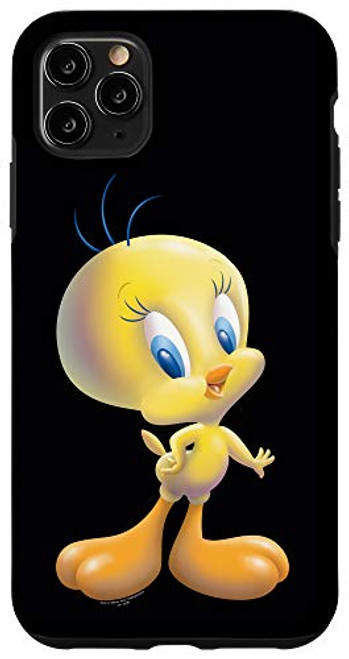 iPhone 11 Pro Max Looney Tunes Tweety Bird Airbrushed Case iPhone 11 Pro Max Looney Tunes Tweety Bird Airbrushed Case