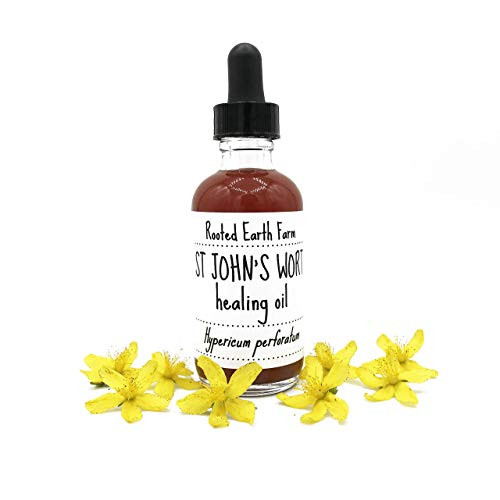 St Johns Wort Massage Oil for Pain Relief