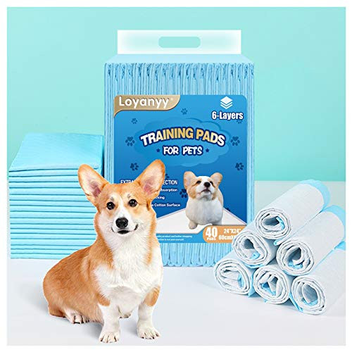 Loyanyy 6 Layers Puppy Pads Potty Pads for Dogs Training Pee Pads for Dogs Quick Absorb 24 inch24 inch 40 Count