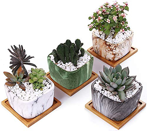 AppyHut Square Planter Succulent Pots for Plants Marbling Ceramic Planter Pots with Drainage Hole  and  Tray Small Planter Pots Cactus Pots Mini Flower Pots Planters Indoor Modern Succulent Gift Pots