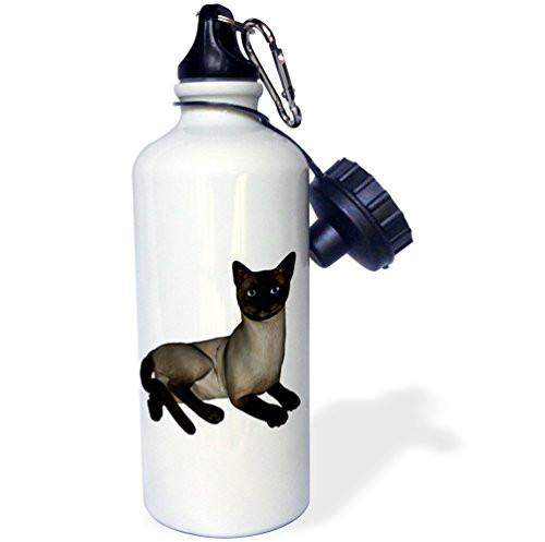 3dRose  inchSiamese Cat Laying Down inch Sports Water Bottle 21 oz White