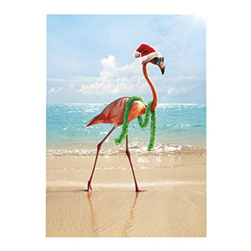 Avanti Christmas Cards with Envelopes Let it Snow Somewhere Else Pack of 10