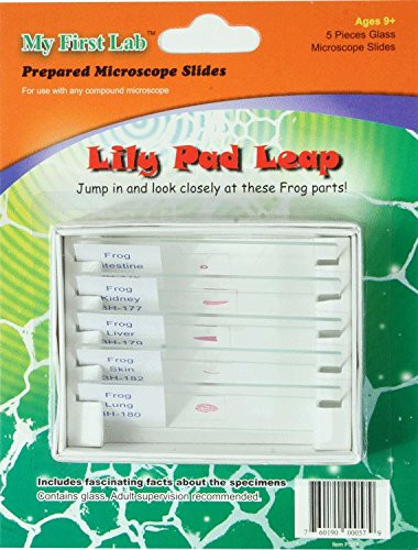 American Science & Surplus My First Lab 5PC Lily Pad Leap Frog Parts Prepared Microscope Slides